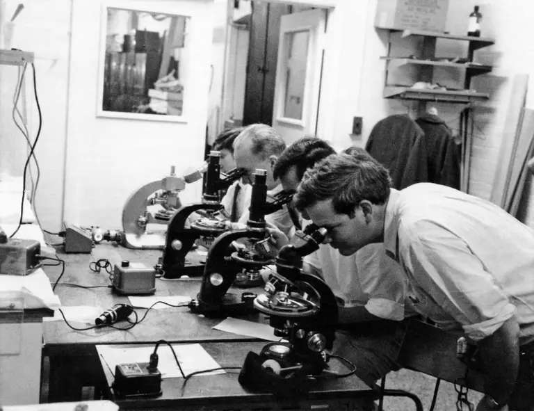 Geophysical Lab Scientists Study Apollo Samples