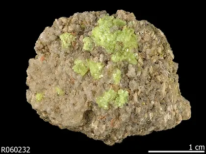 Light green crystals of the mineral schröckingerite. Photo is courtesy of The RRUFF Project @RRUFF.info.