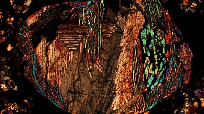 A slice of a chondrite meteorite