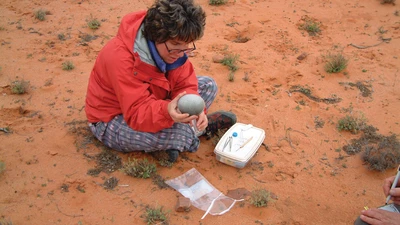 Marilyn Fogel dissects a modern emu egg for her study on the ancient Australian environment.