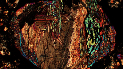Interior slice of a meteorite courtesy of Nicole Nie. 