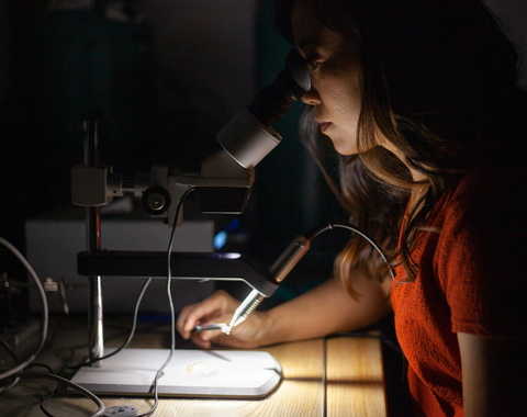 Kara Brugman welds a platinum capsule that will hold the sample (a tiny pocket of magma) for an experiment.