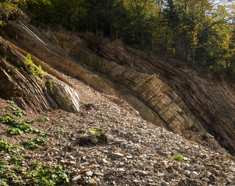 Geological structure of Carpathian Flysch and landslide in bieszczady mountains