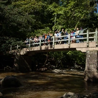 Postdocs and scientists cheer on Rapids Bridge in Rock Creek Park during Postdoc Appreciation Day