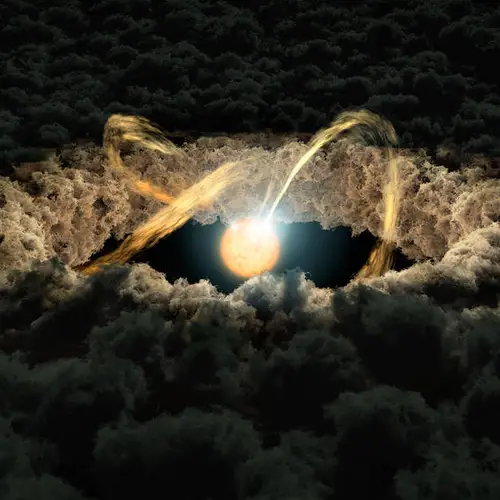 Star surrounded by protoplanetary disk