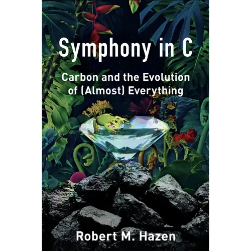 Symphony in C book cover